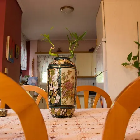 Semesterbostad Vasiliki'S House *